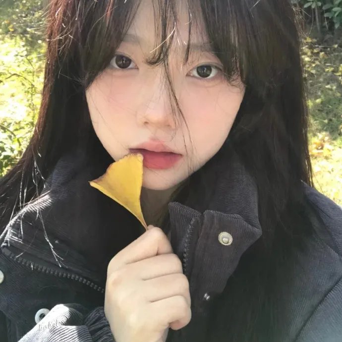 小鸟会走路