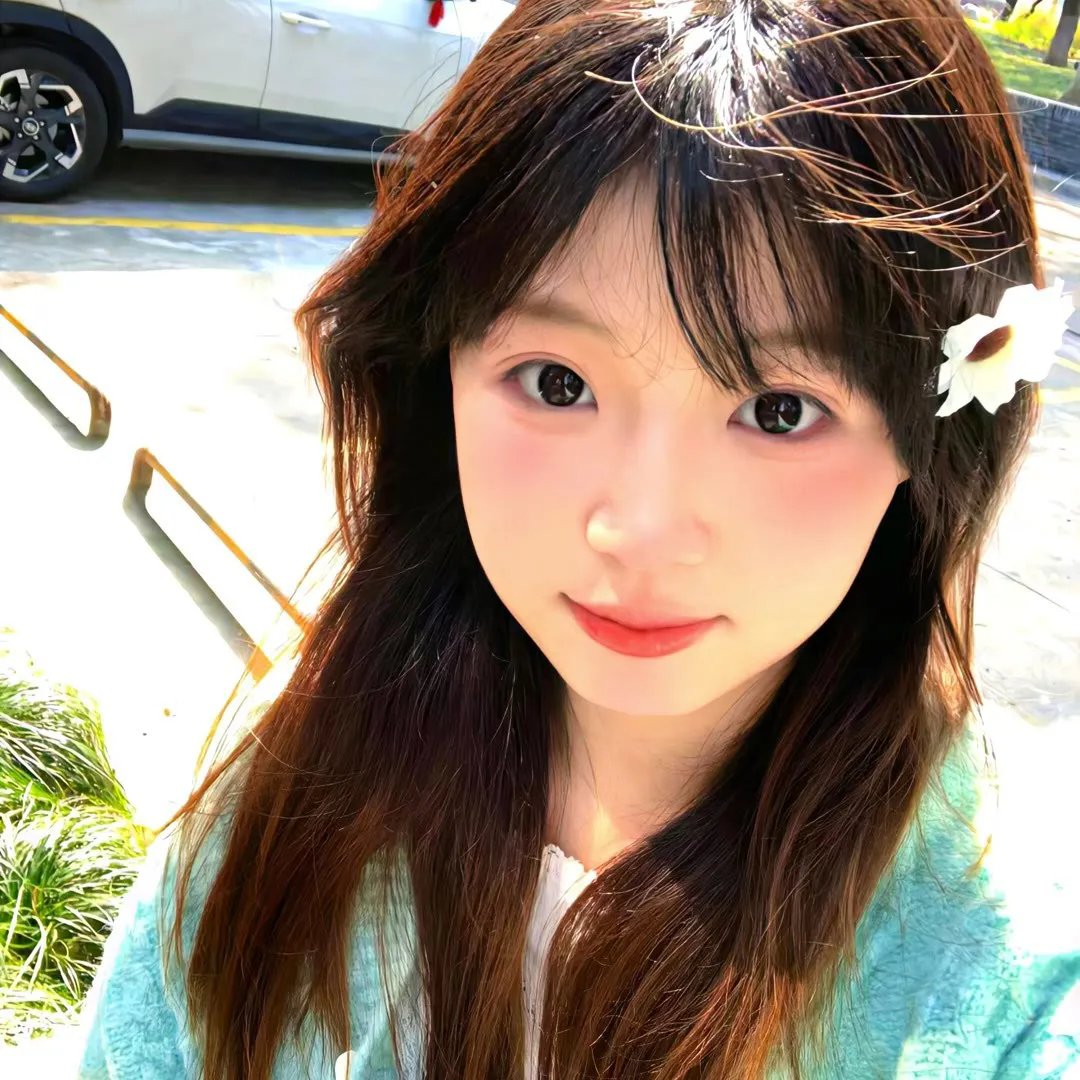 名门淑女